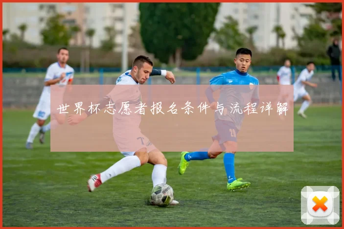 世界杯志愿者报名条件与流程详解