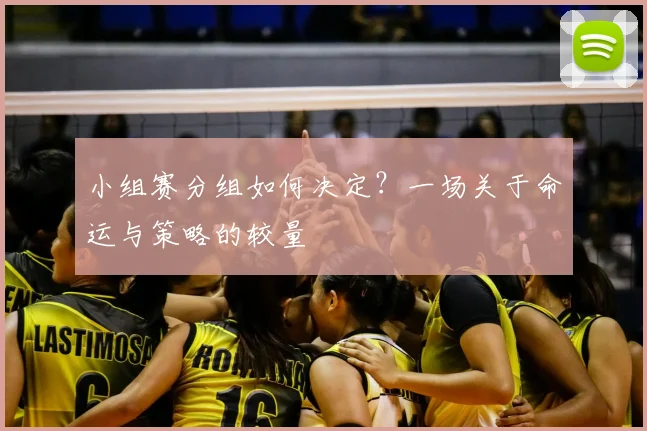 小组赛分组如何决定？一场关于命运与策略的较量