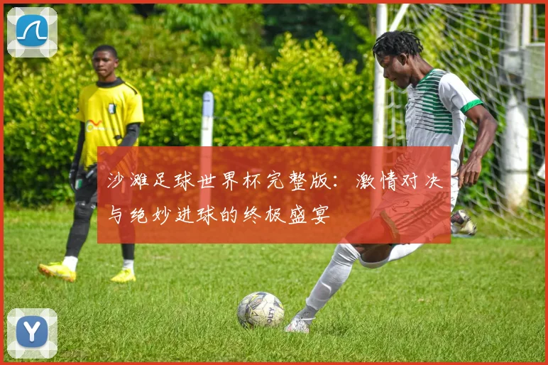 沙滩足球世界杯完整版:激情对决与绝妙进球的终极盛宴