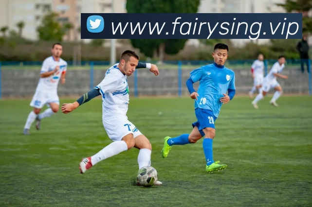 九游网页版入口网址平台生态图