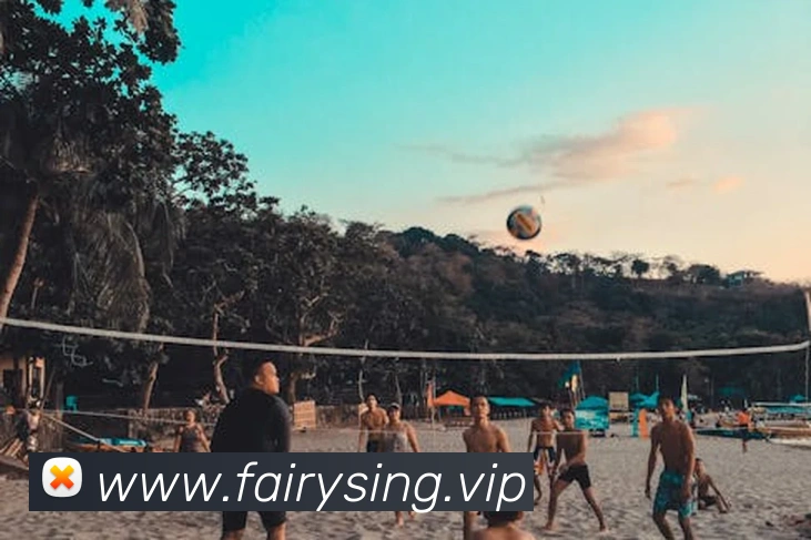 九游网页版入口网址全站App